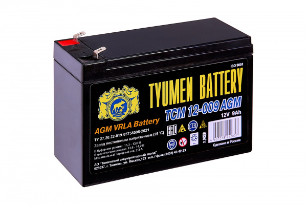 Аккумуляторная батарея Tyumen Battery ТСМ-12009 AGM 