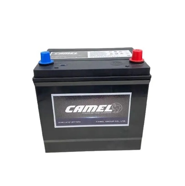 Аккумуляторная батарея 12V 45Ah (0) EFB Asia CAMEL (EFB N55L) оп фото 