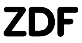 Аккумуляторы ZDF. Производитель бренда, используемые технологии.