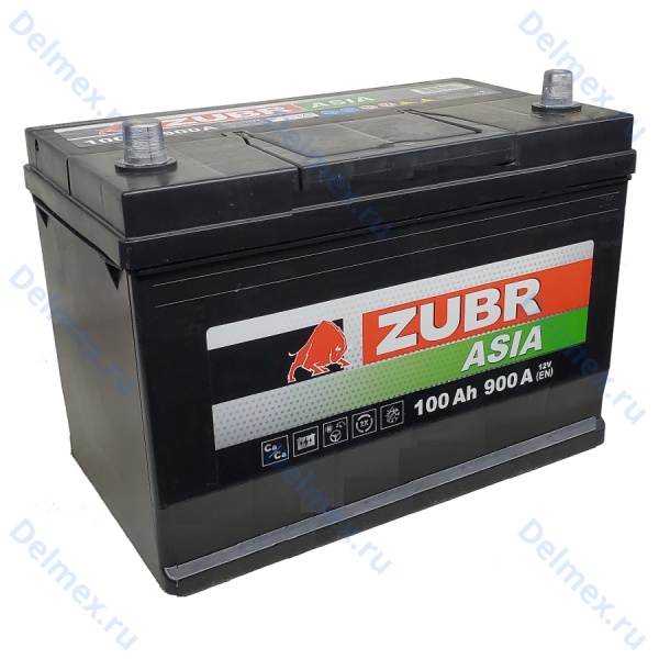 Аккумуляторная батарея ZUBR Premium Asia 100Ah п/п (ниж./борт) фото 