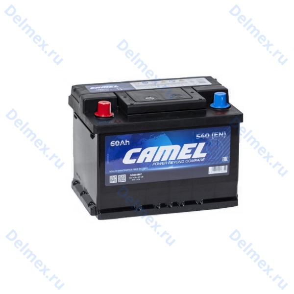 Аккумуляторная батарея 12V 60Ah (1) CAMEL (56220MF) пп фото 