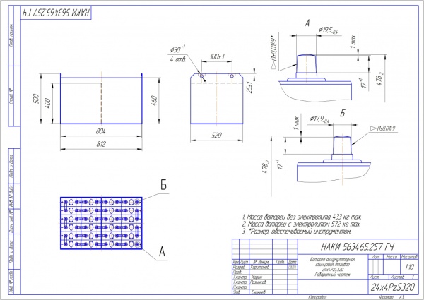 Фото АКБ 24х4PzS320 исполнение 257-01 с гибкими перемычками залитая электролитом