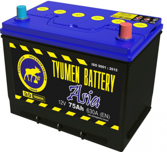 Аккумуляторная батарея Tyumen Battery 6СТ-75L ASIA обратной полярности