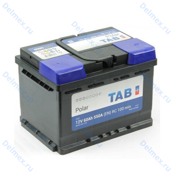 Аккумуляторная батарея TAB 6СТ-60L POLAR прямой полярности 56013 SMF фото 