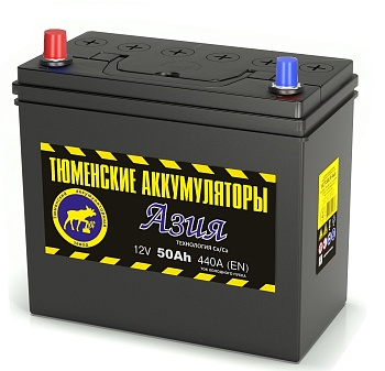Аккумуляторная батарея Тюменские Аккумуляторы 6СТ-50L АЗИЯ прямой полярности фото 