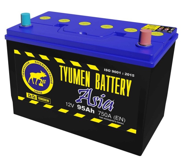 Аккумуляторная батарея Tyumen Battery 6СТ-95L ASIA
